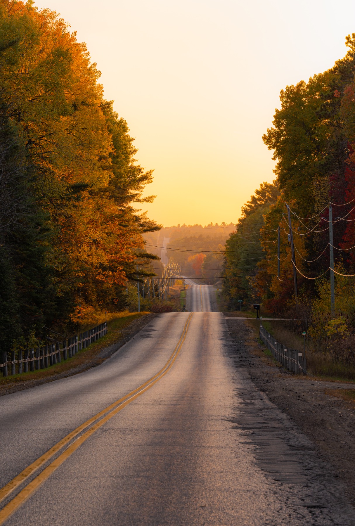 加拿大 第 5 张照片