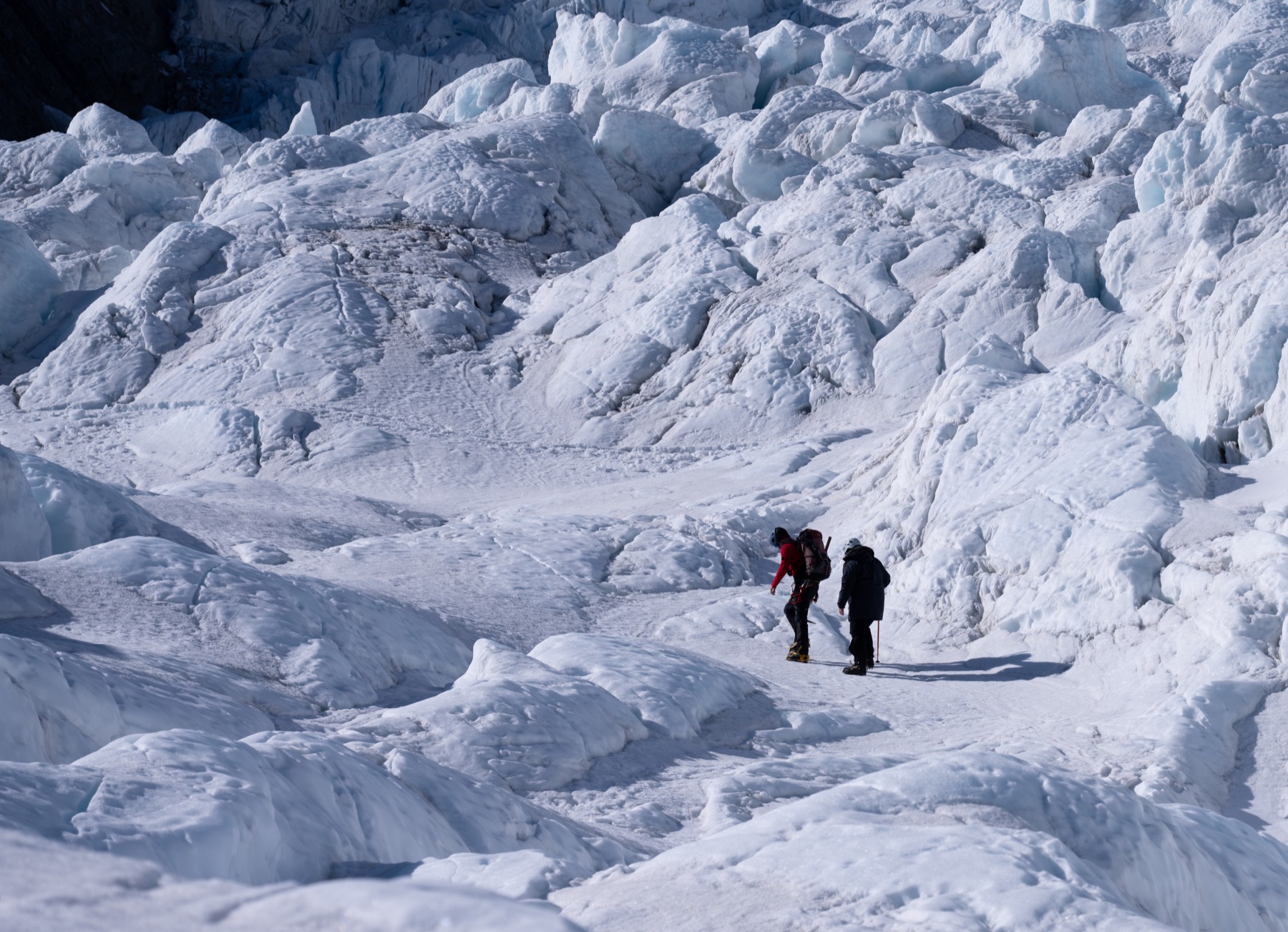 新西兰 第 3 张照片