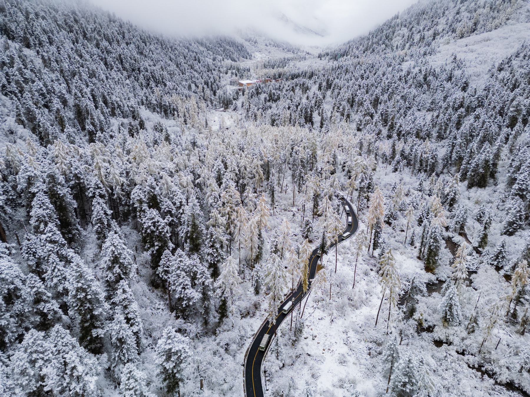 川西 第 2 张照片